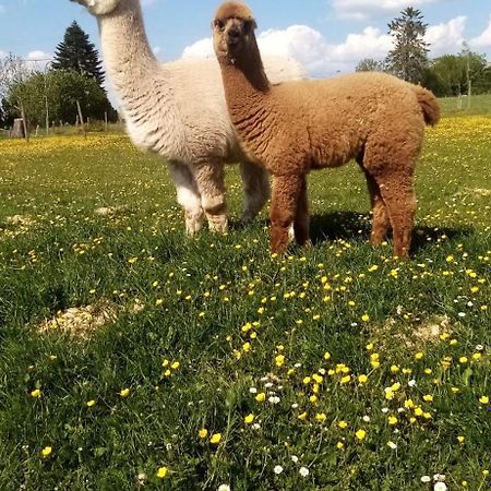 Herzfennerhof Mobilheim Auw bei Prum Екстериор снимка