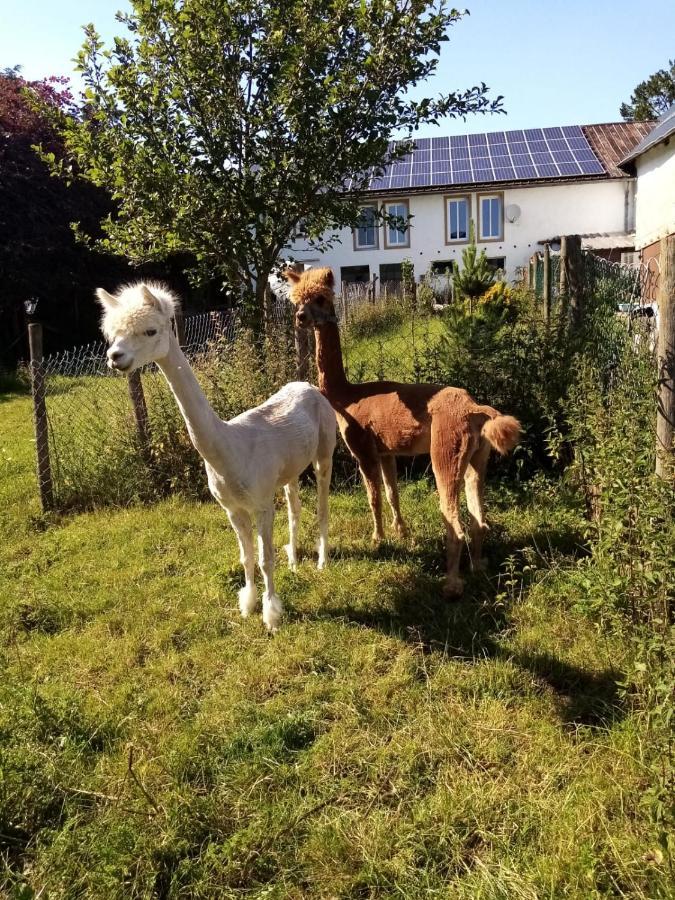 Herzfennerhof Mobilheim Auw bei Prum Екстериор снимка