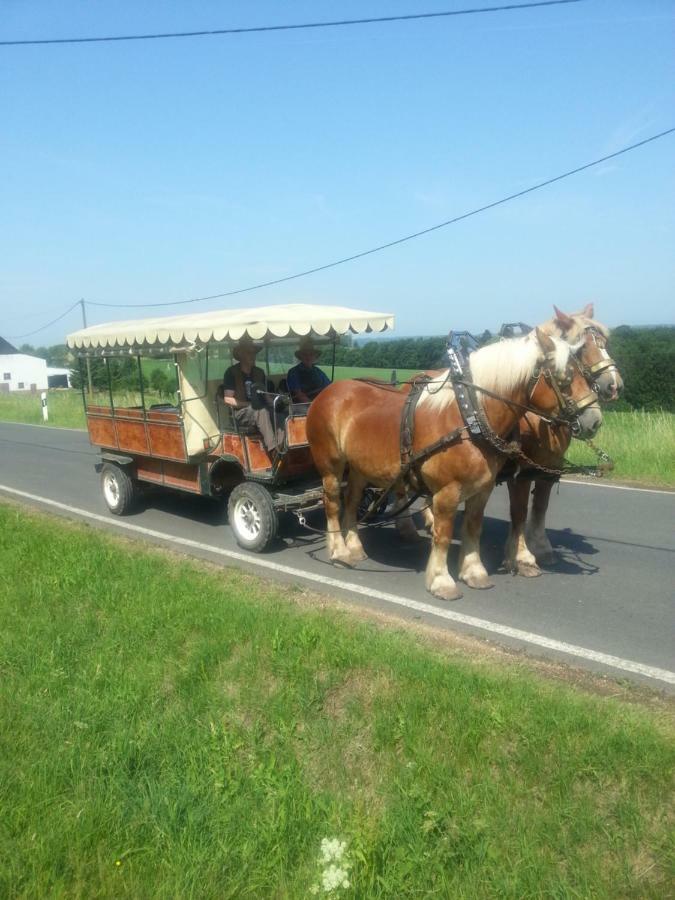 Herzfennerhof Mobilheim Auw bei Prum Екстериор снимка